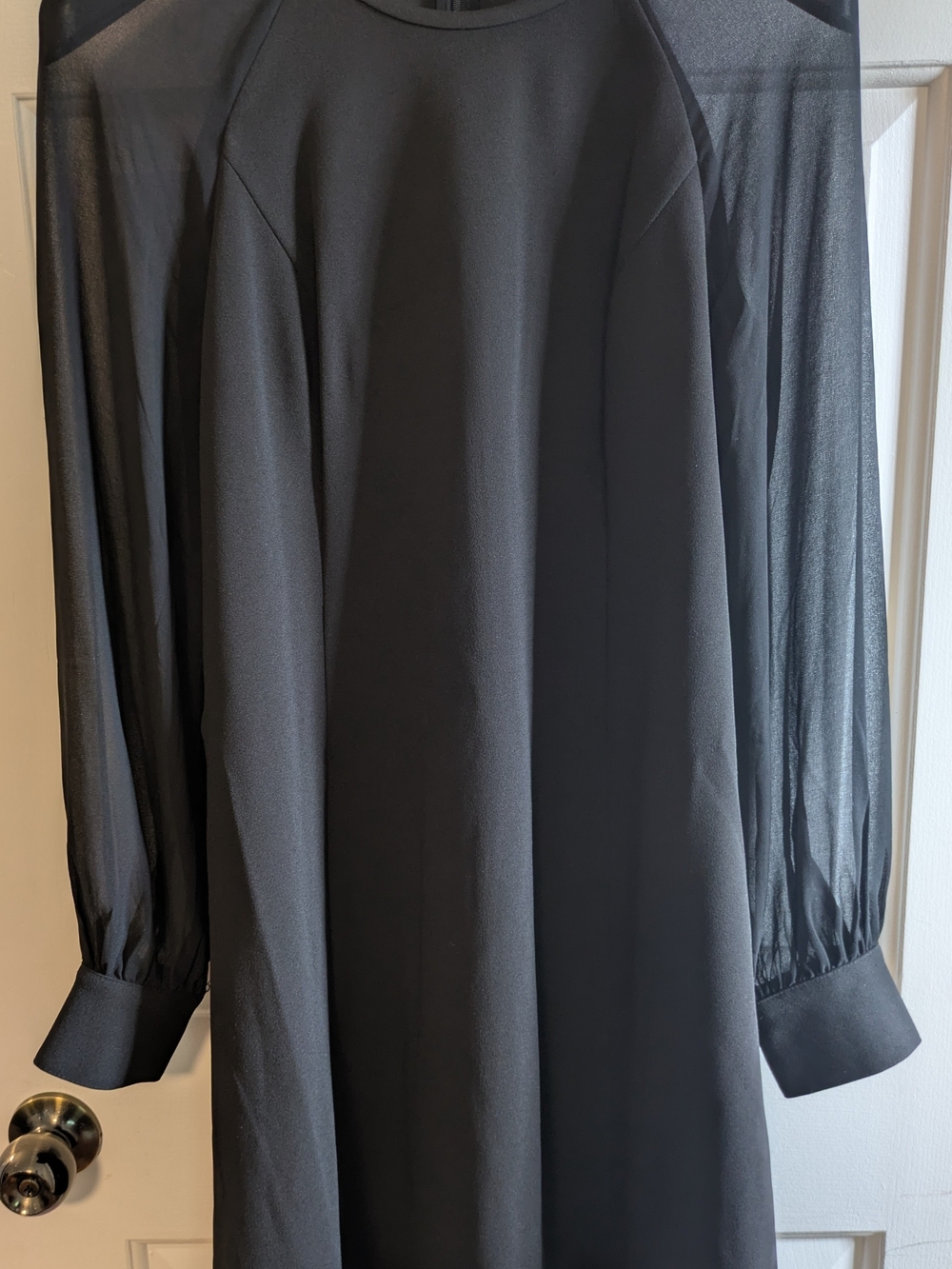 LBD With Long-Sheer Sleeve Mini